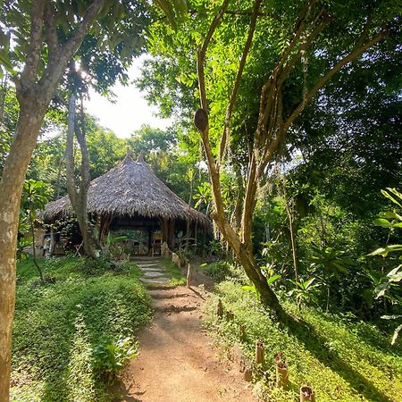 Hostal Paraiso Tayrona Kogui 洛斯纳兰霍斯 外观 照片